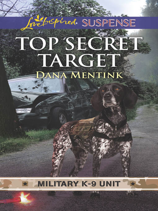 Cover image for Top Secret Target
